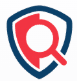 VINdicated.ai Logo